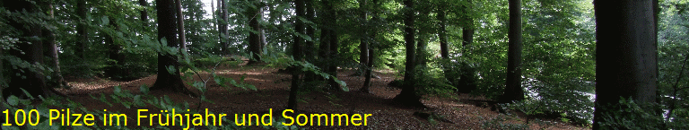 100 Pilze im Frhjahr und Sommer